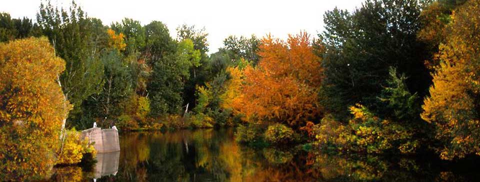 Star Idaho City Information