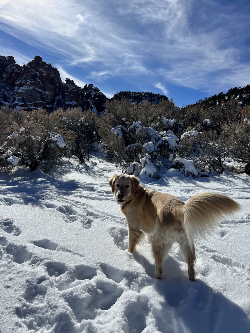 Kolob Terrace snow and terrain near Virgin Utah