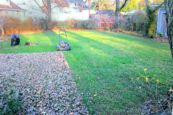 Winter Lawn Care | 4 Steps to Protect Your Turf