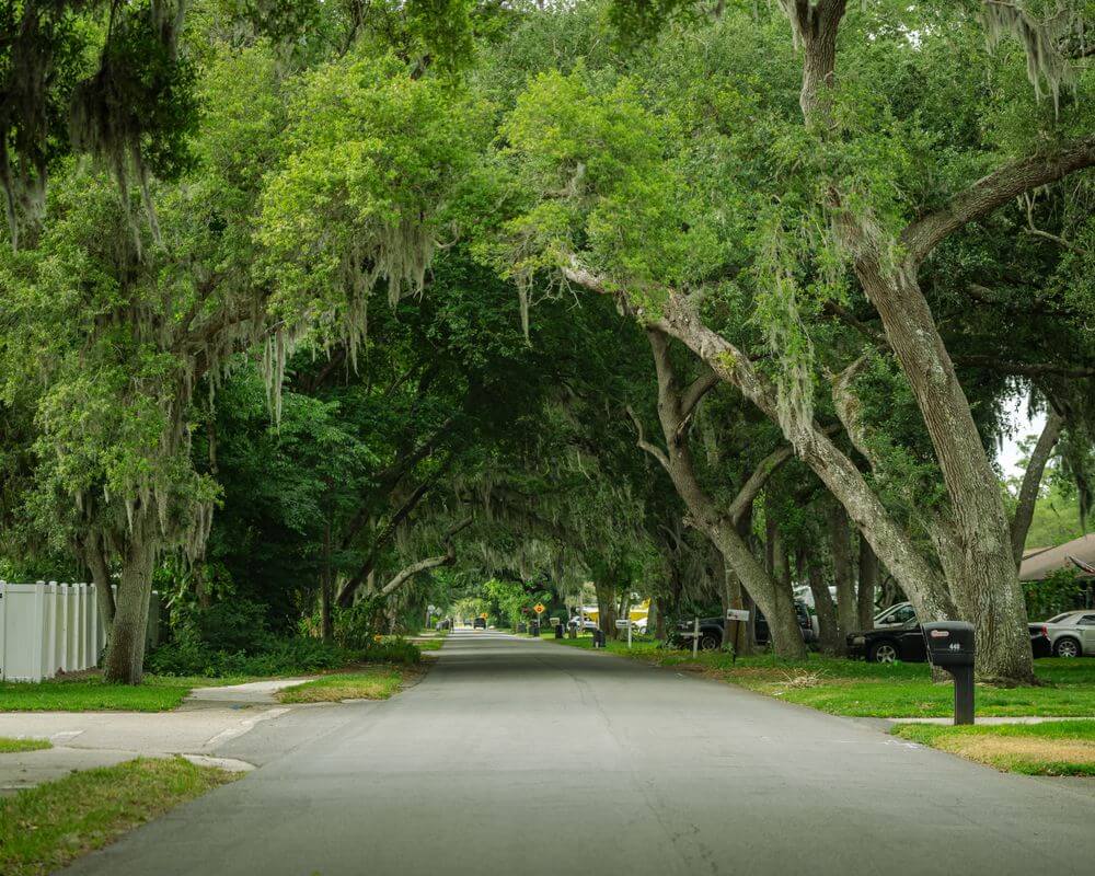Ormond Beach Real Estate