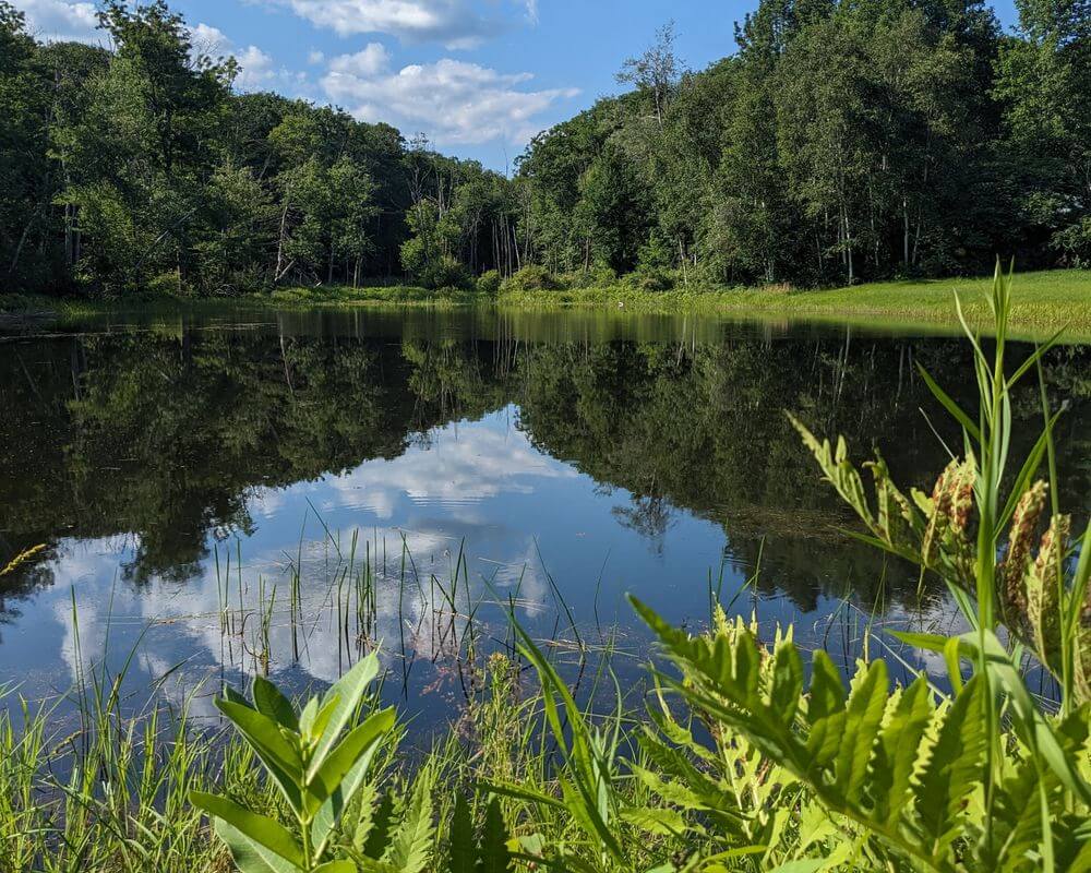 Litchfield Real Estate