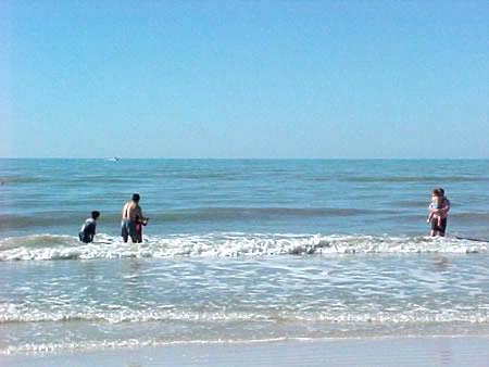 clearwater.jpg