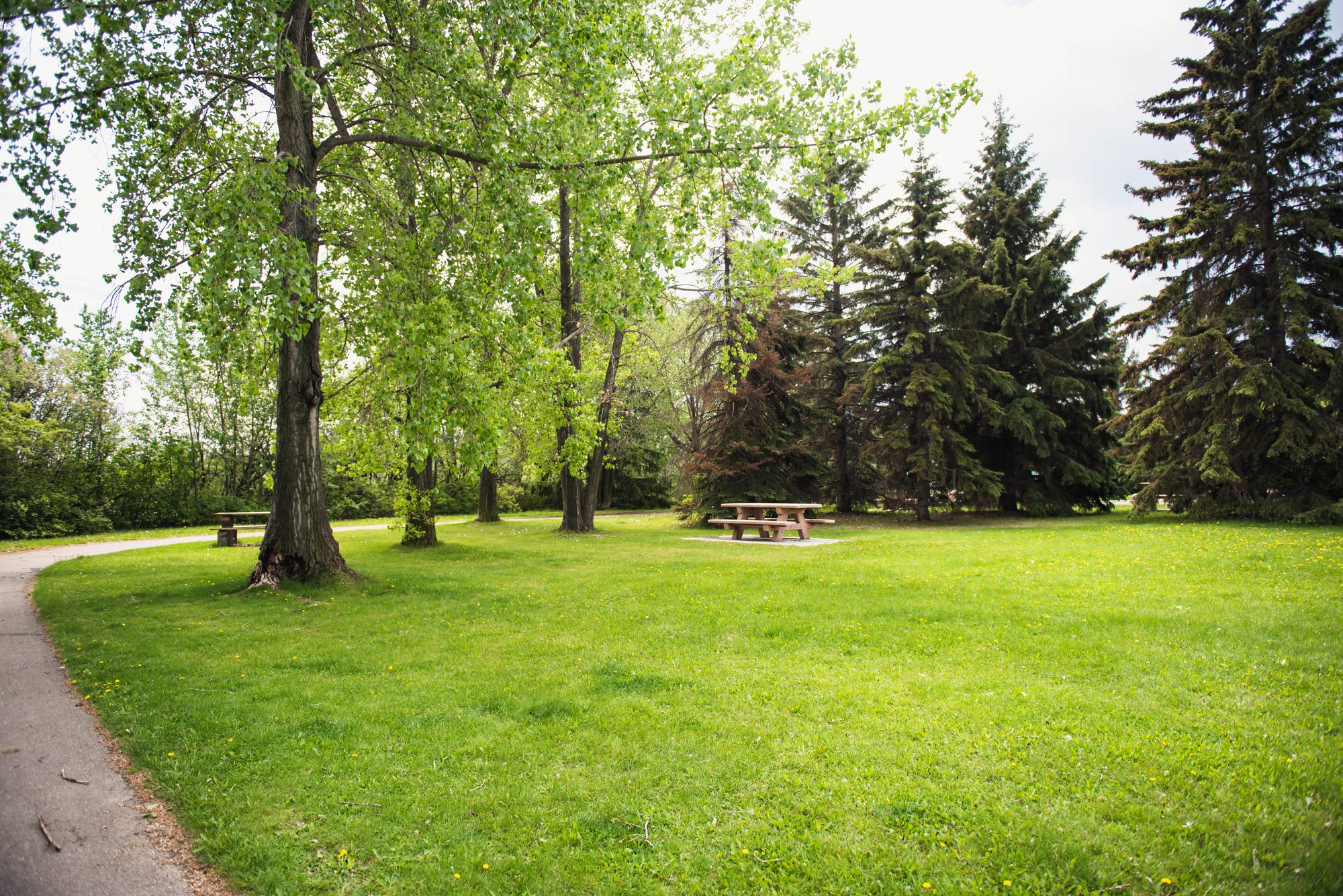 Park trail and green space in Leduc Alberta
