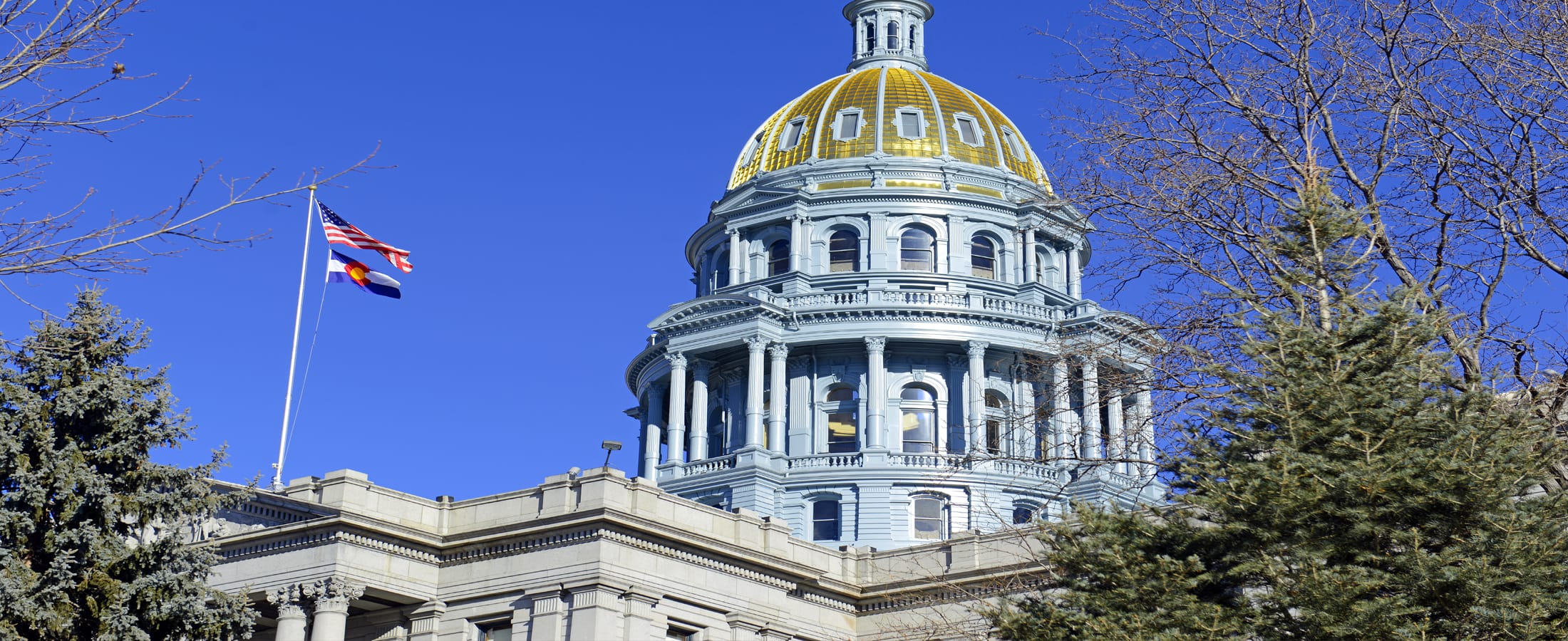 DenverMetro Real Estate DenverMetro Homes and Condos for Sale