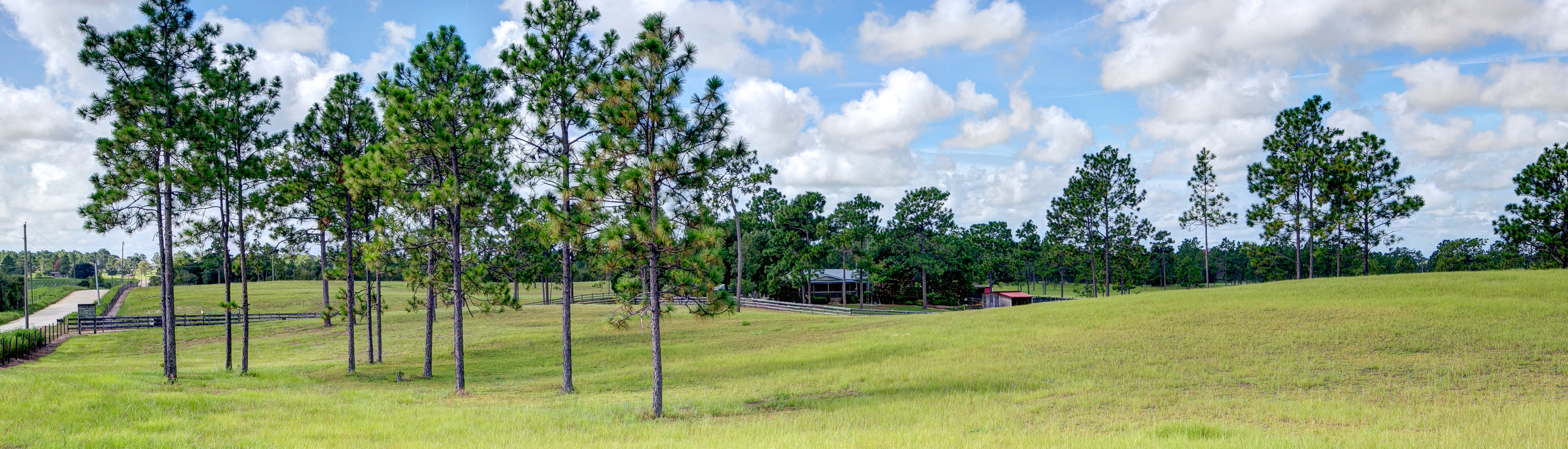 Homes for sale in Williston and Morriston Area