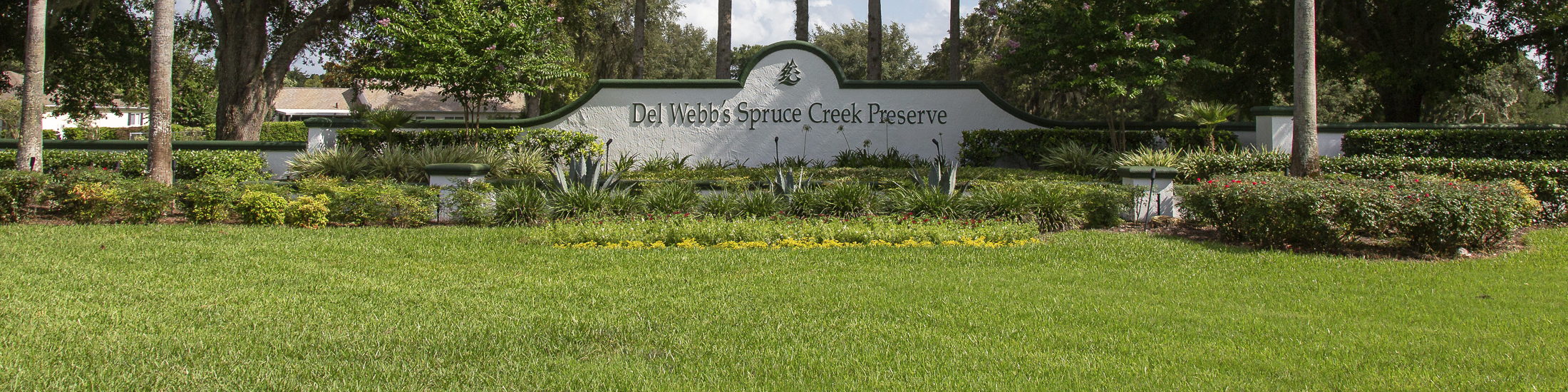 Homes for sale in Spruce Creek Preserve