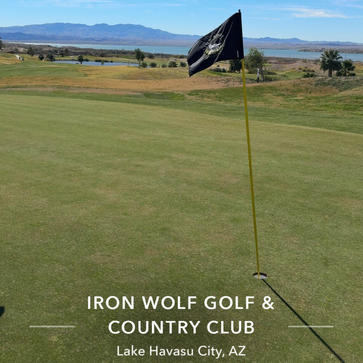 Golf at Iron Wolf Golf and Country Club, Lake Havasu City AZ