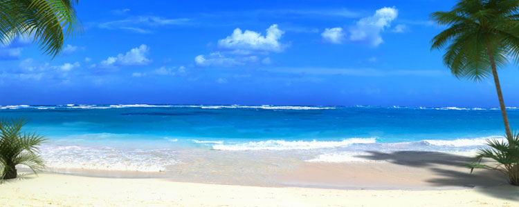 Nap[les Florida Beach
