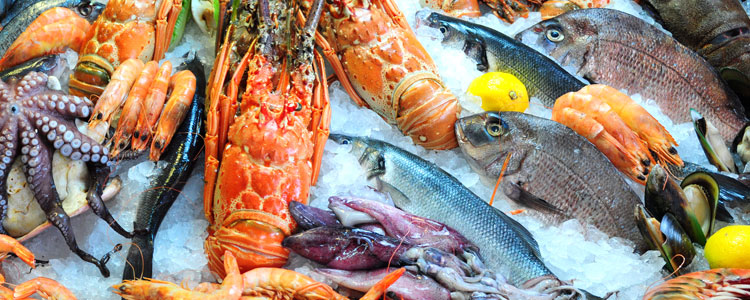Naples, FL Seafood
