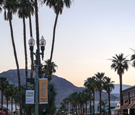 Living In Palm Desert CA: What Is It Really Like In 2021?