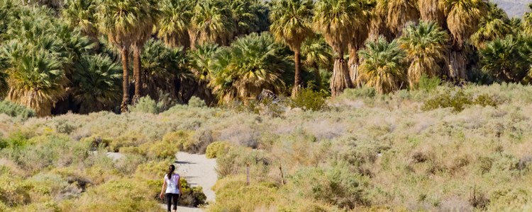 Hiking in Palm Springs, CA