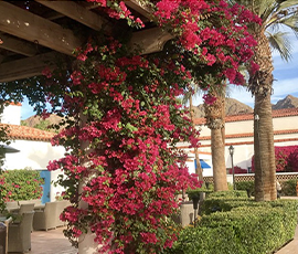 The Ultimate Guide To Living In La Quinta Including FAQs!