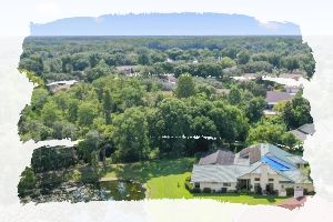 Belle Meade