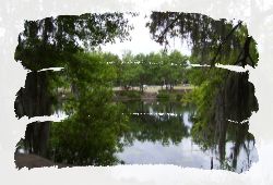 Homes out of HOA