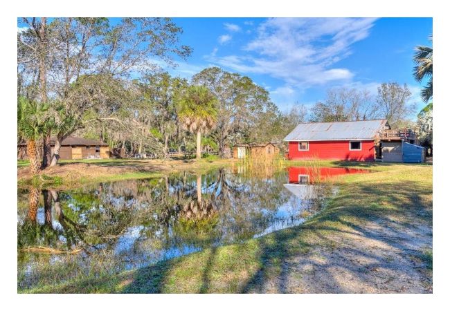 OLDSMAR FARM