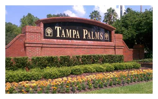 New Tampa, Tampa Palms
