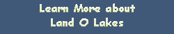 Learn About Land O Lakes FL