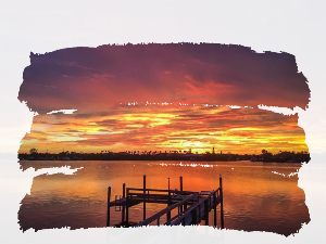 Tampa FL Waterfront Homes