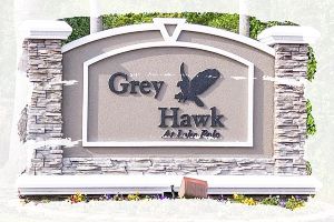 Grey Hawk at Lake Polo