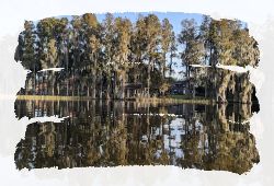 Lake Thonotosassa
