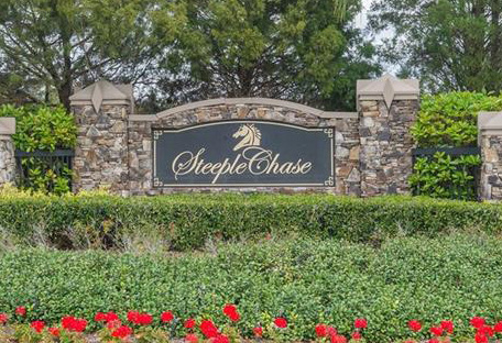 Steeplechase Odessa Florida