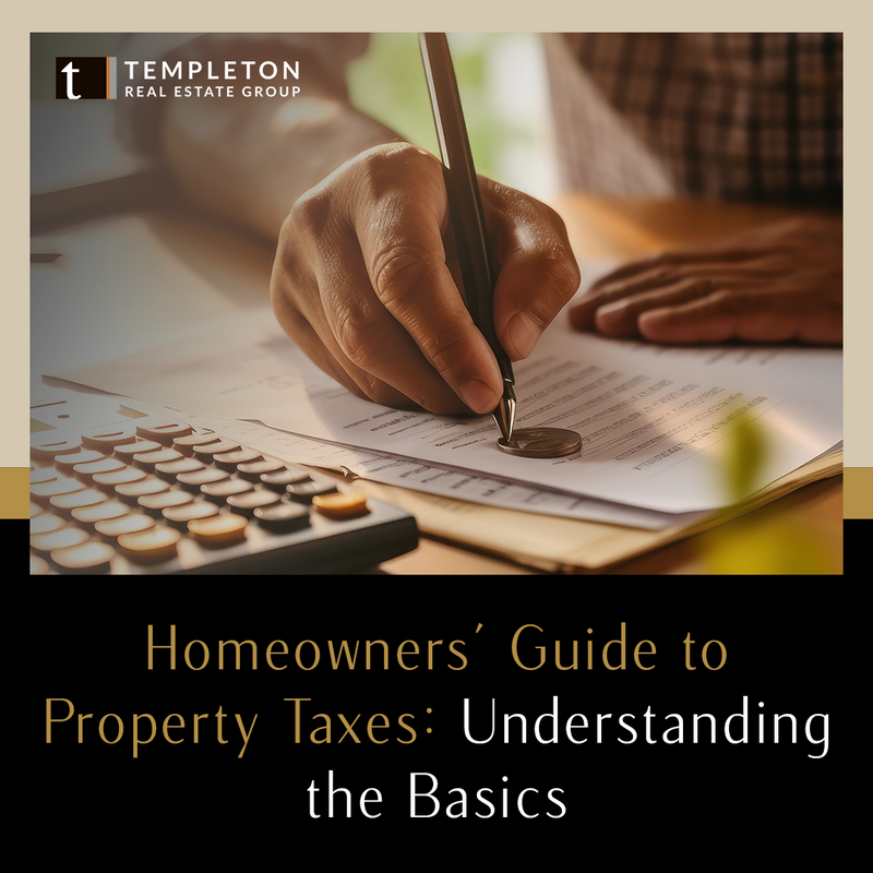 Homeowners' Guide to Property Taxes Understanding the Basics