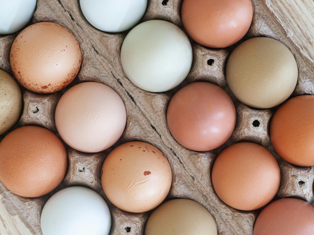 Farm Fresh Eggs