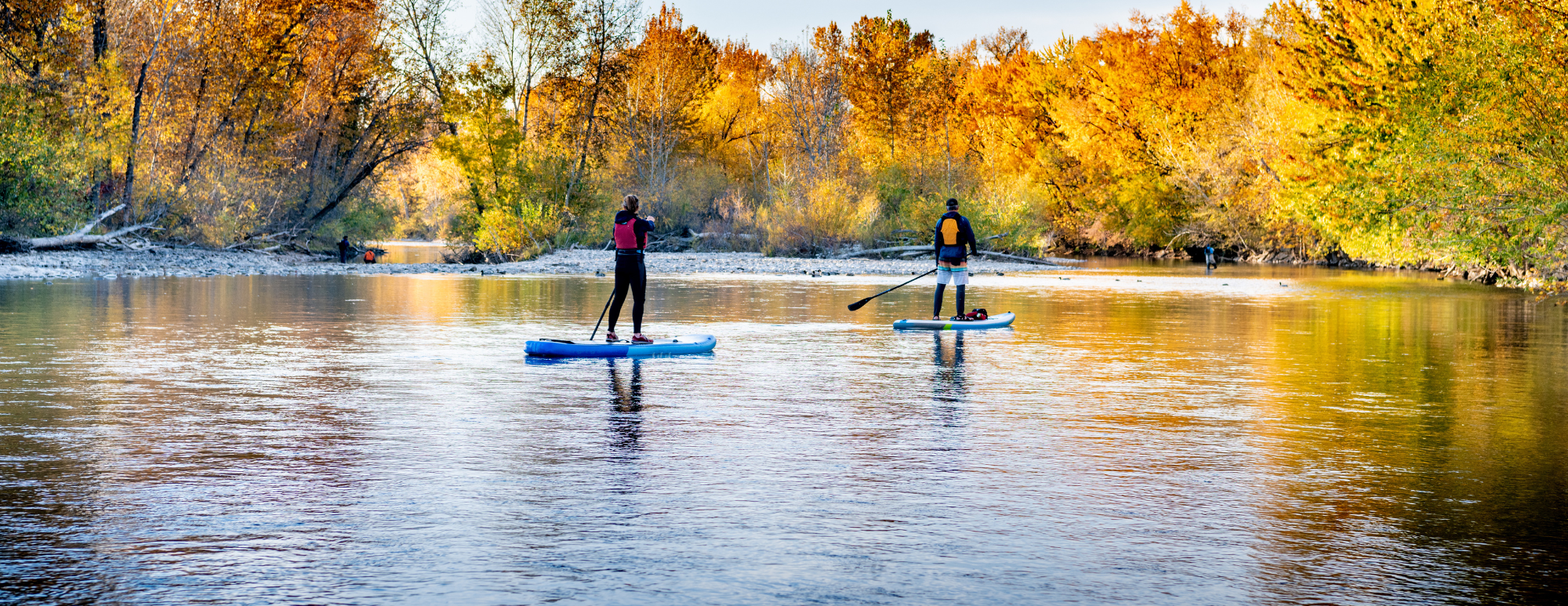 paddle boarding on the boise river