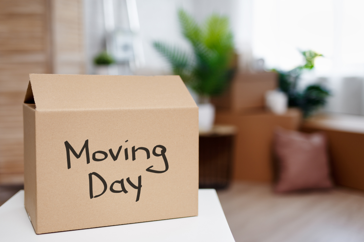 Cardboard moving box labeled “Moving Day” in bright home with packed boxes and plants in background, representing relocation and moving preparation.