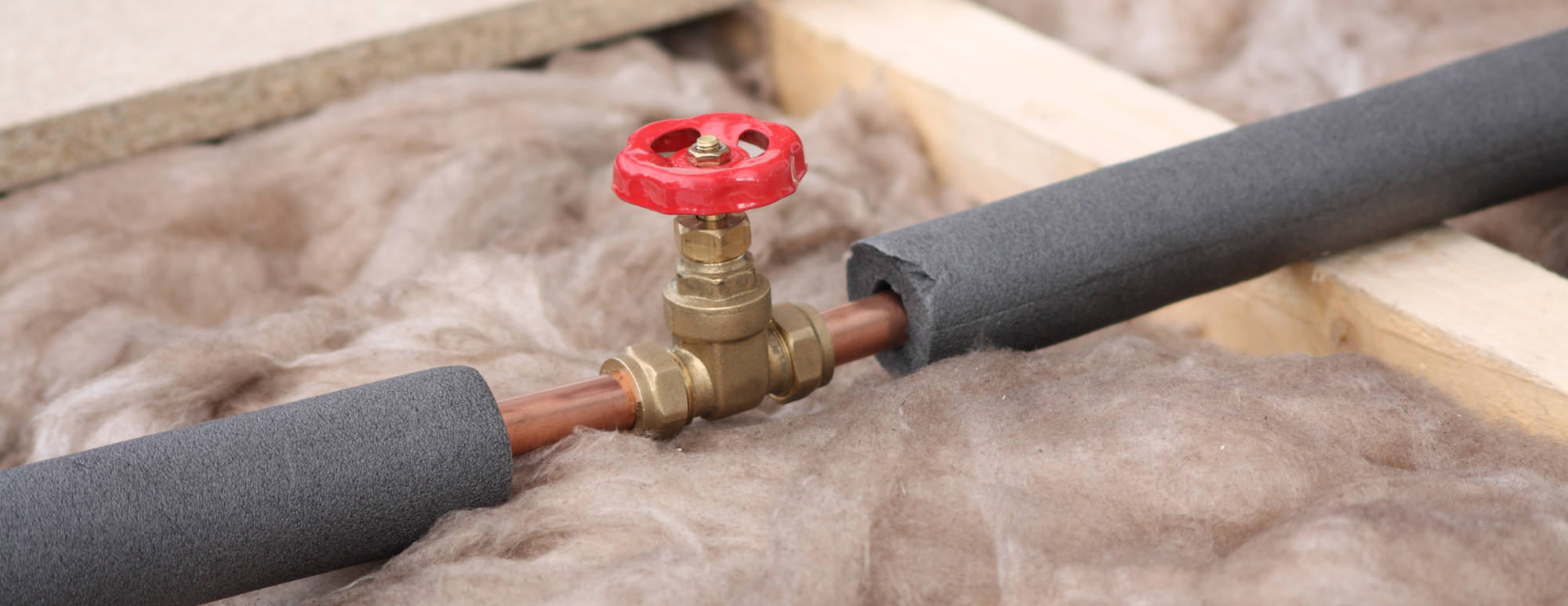 Winterize Your Pipes Graphic
