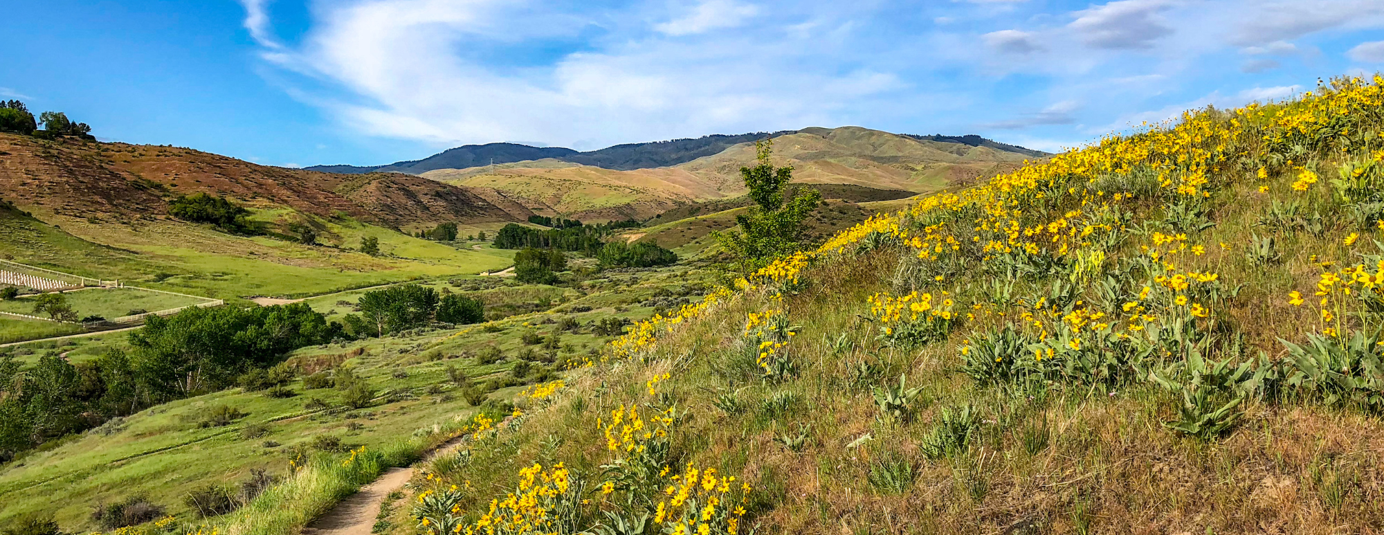 Southeast Boise Spring Activity