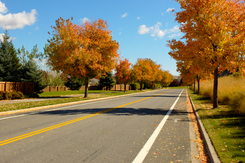 Fall trees lining a residential street in Surprise Valley, an East Boise neighborhood