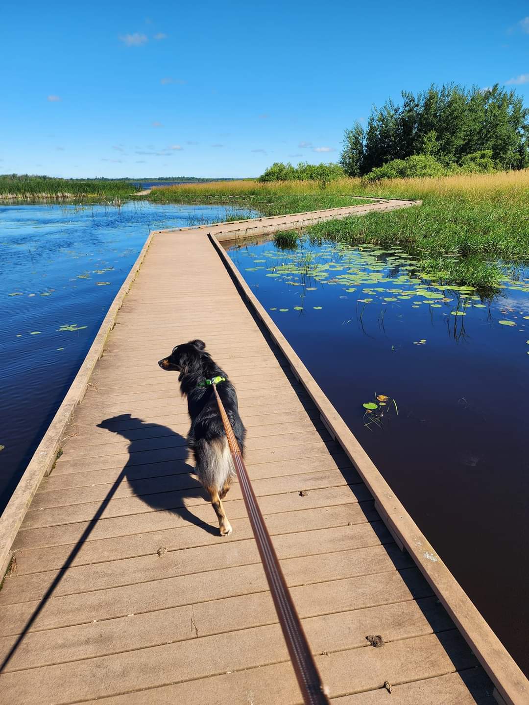 Walking path at Necedah Wildlife Refuge