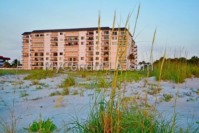 Oceanfront Condos Terry Palmiter RE/MAX