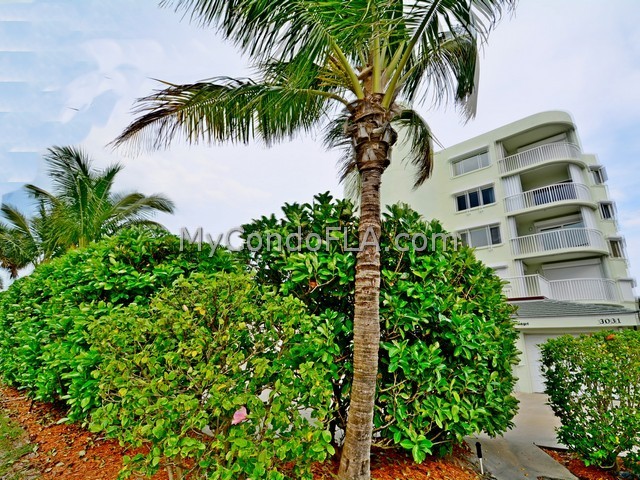 Oceanfront Condos Terry Palmiter RE/MAX