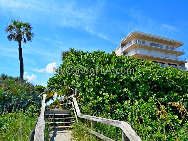 Oceanfront Condos Terry Palmiter RE/MAX