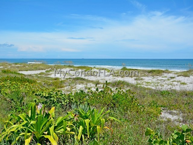 Oceanfront Condos Terry Palmiter RE/MAX