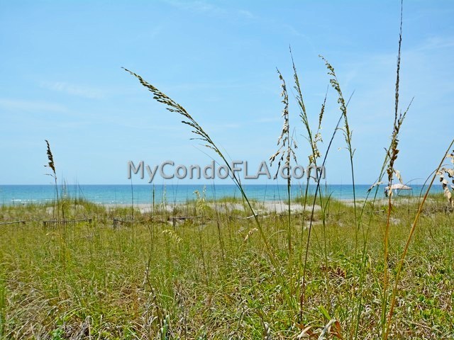 Oceanfront Condos Terry Palmiter RE/MAX
