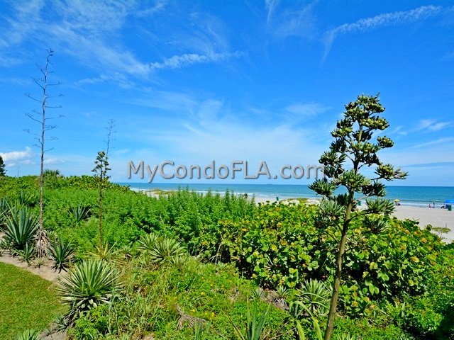 Oceanfront Condos Terry Palmiter RE/MAX