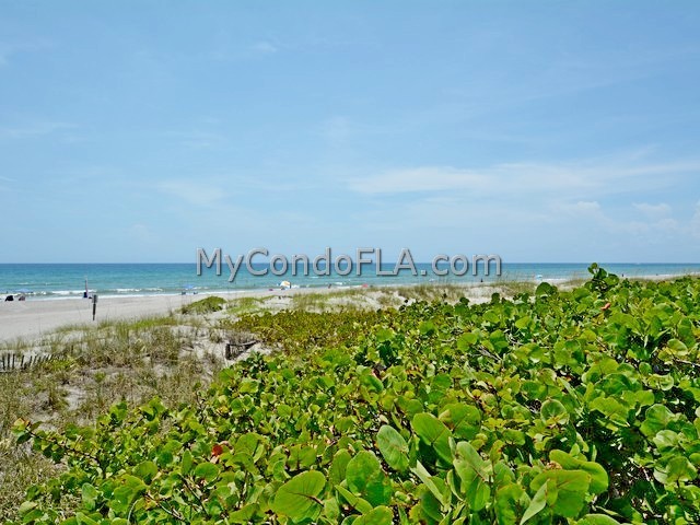 Oceanfront Condos Terry Palmiter RE/MAX