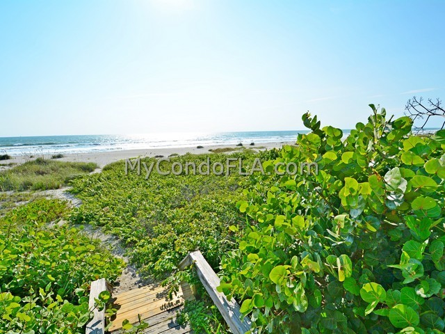 Oceanfront Condos Terry Palmiter RE/MAX