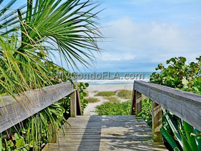 Oceanfront Condos Terry Palmiter RE/MAX