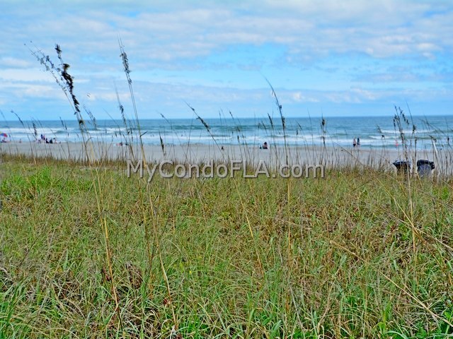 Oceanfront Condos Terry Palmiter RE/MAX
