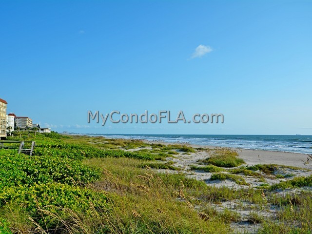 Oceanfront Condos Terry Palmiter RE/MAX