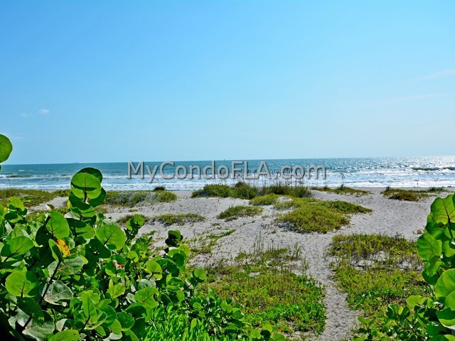 Oceanfront Condos Terry Palmiter RE/MAX