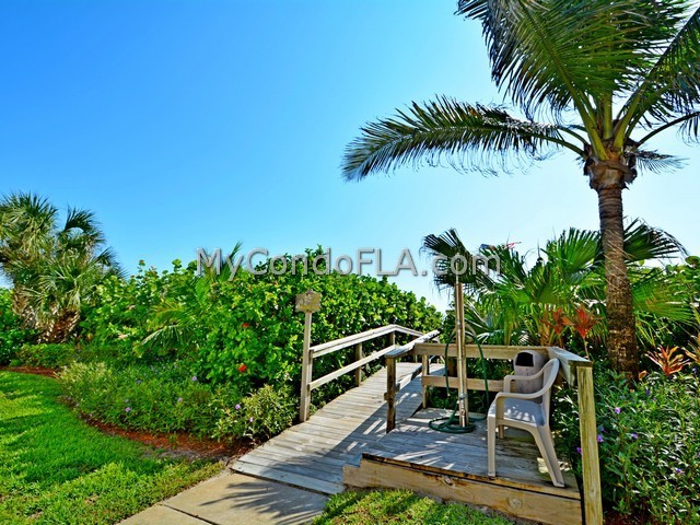 Oceanfront Condos Terry Palmiter RE/MAX