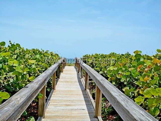 Oceanfront Condos Terry Palmiter RE/MAX