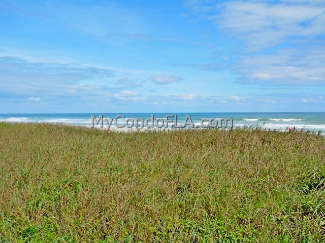 Oceanfront Condos Terry Palmiter RE/MAX