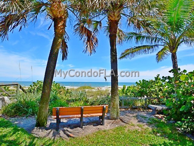 Oceanfront Condos Terry Palmiter RE/MAX
