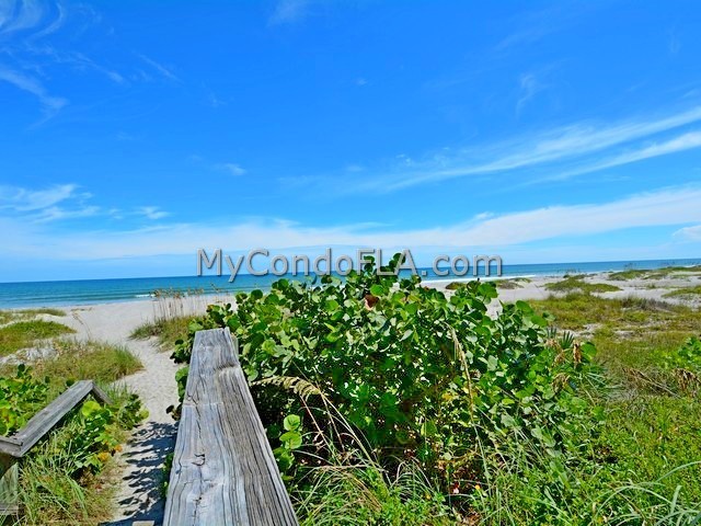 Oceanfront Condos Terry Palmiter RE/MAX